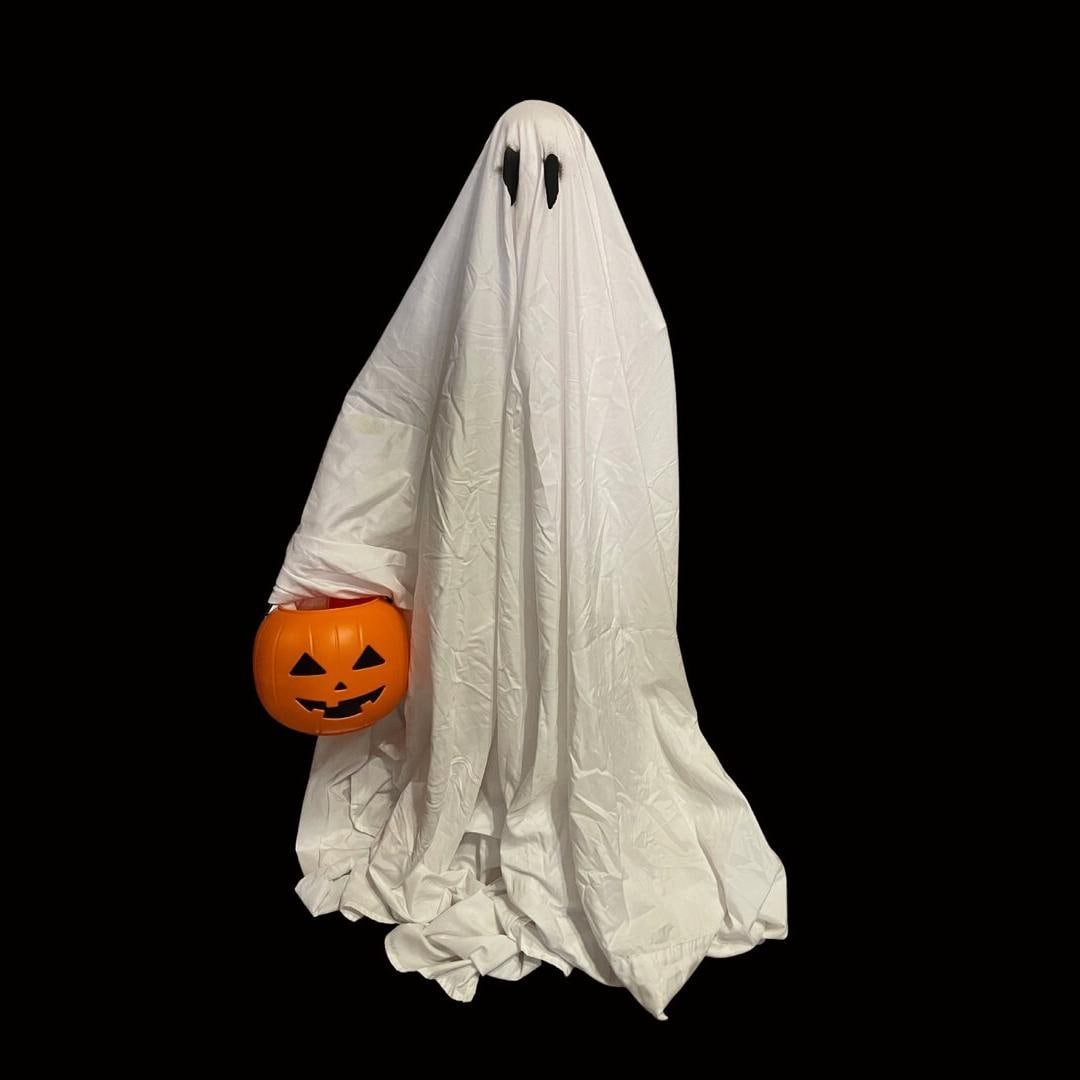 Ghost Trick-or-treater (Made to order)