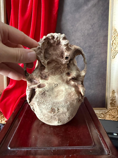 Juvenile Human Skull Replica | Anatomical Skull Reproduction | Gothic Oddity Decor | Curiosity Cabinet Display | Handmade