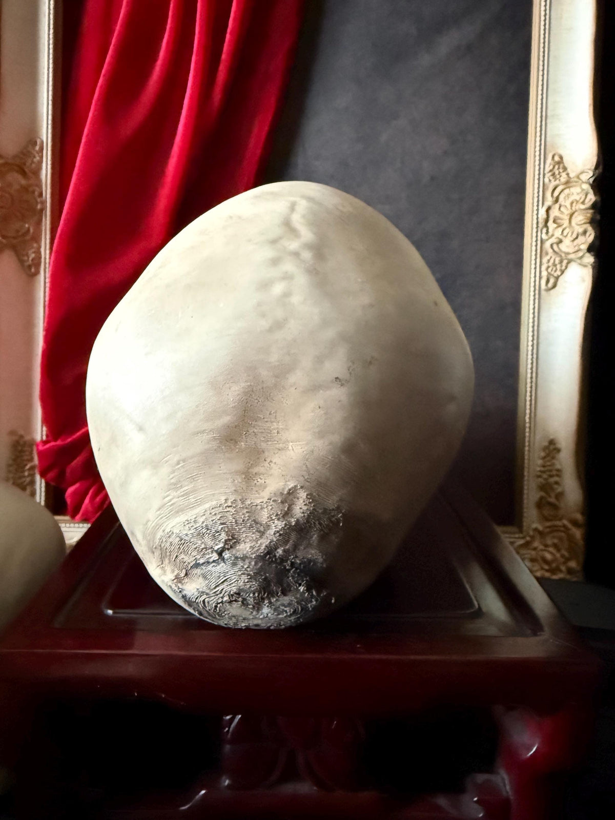 Human Skull Replica | Real Skull 3D Scan | Anatomical Specimen Display | Gothic Decor | Dark Academia Curiosity