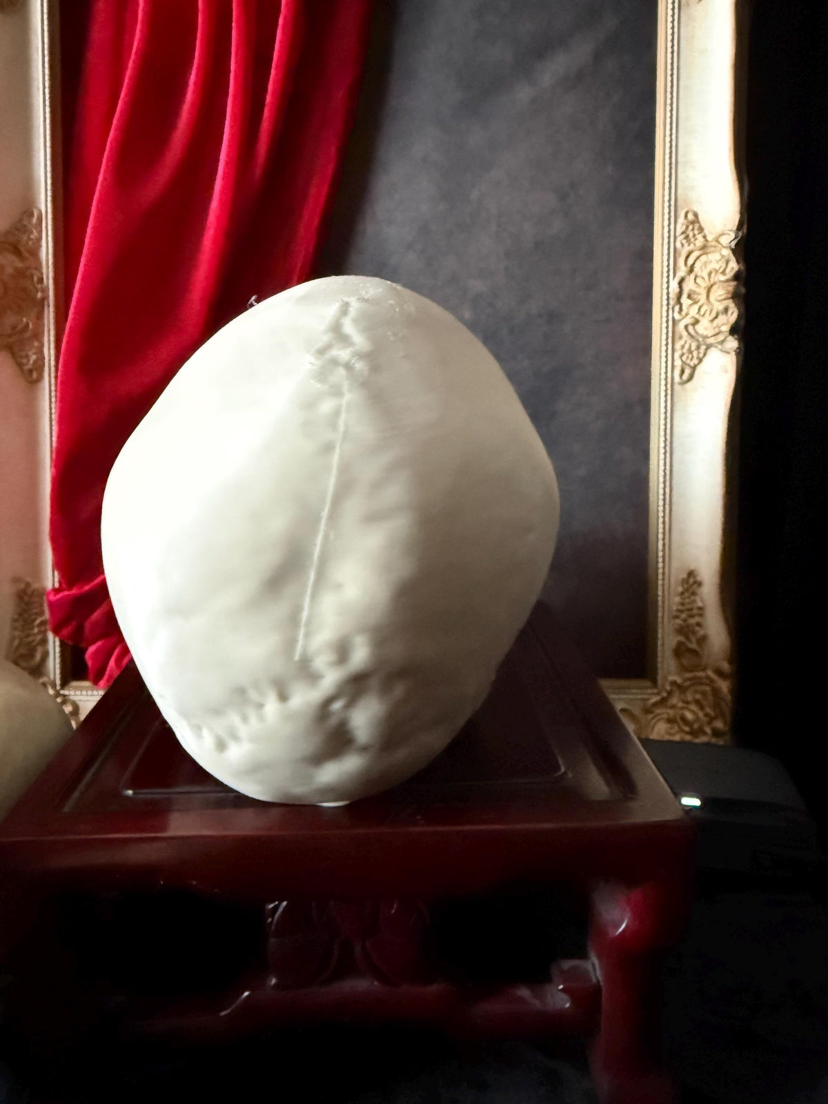 Human Skull Replica | Real Skull 3D Scan | Anatomical Specimen Display | Gothic Decor | Dark Academia Curiosity