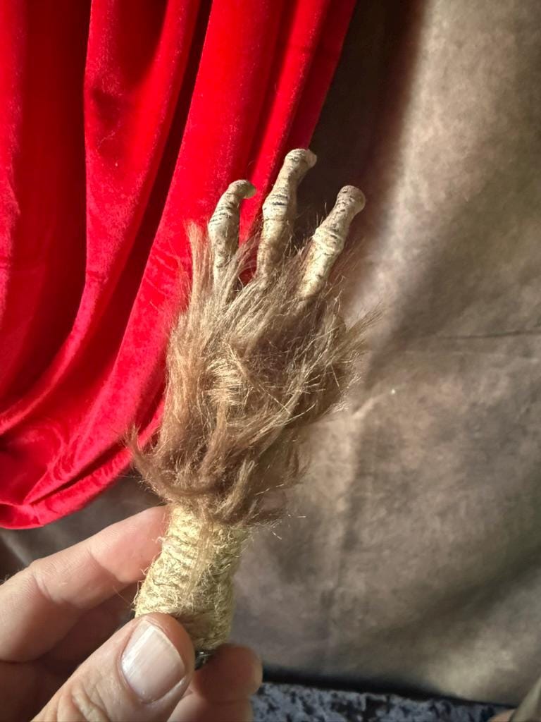 Cursed Monkey Paw for curiosity cabinet