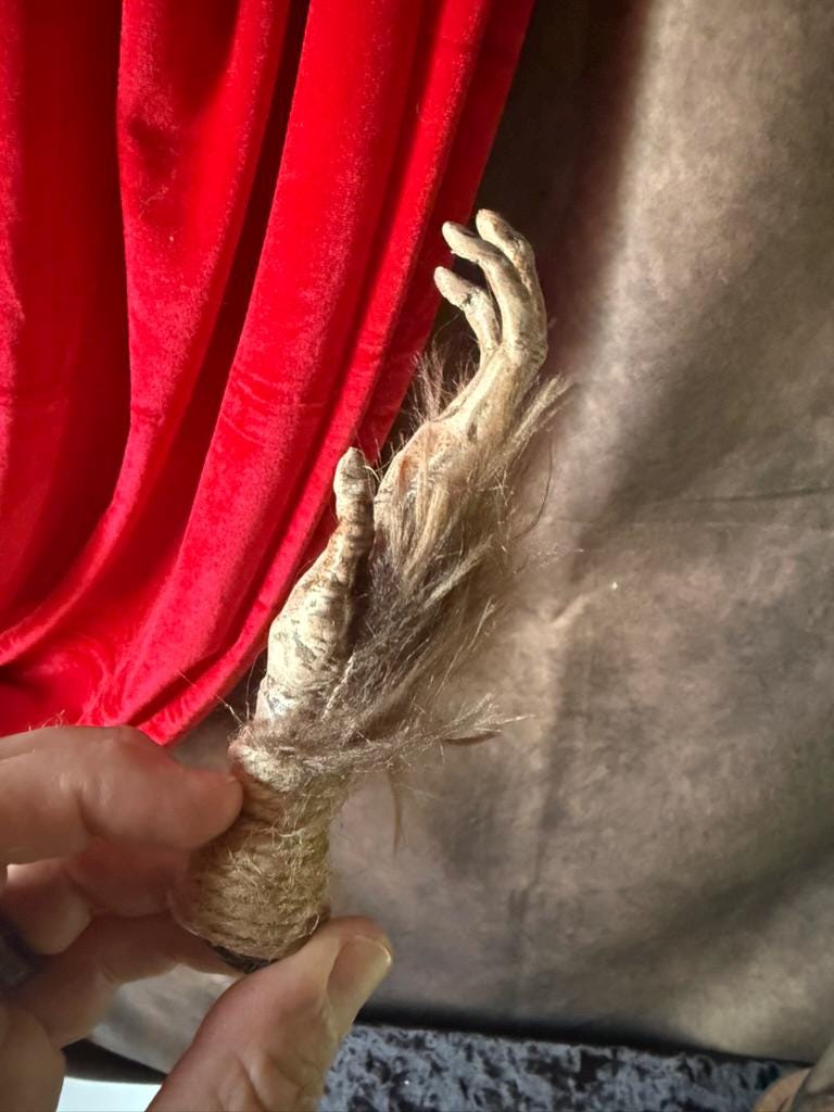 Cursed Monkey Paw for curiosity cabinet