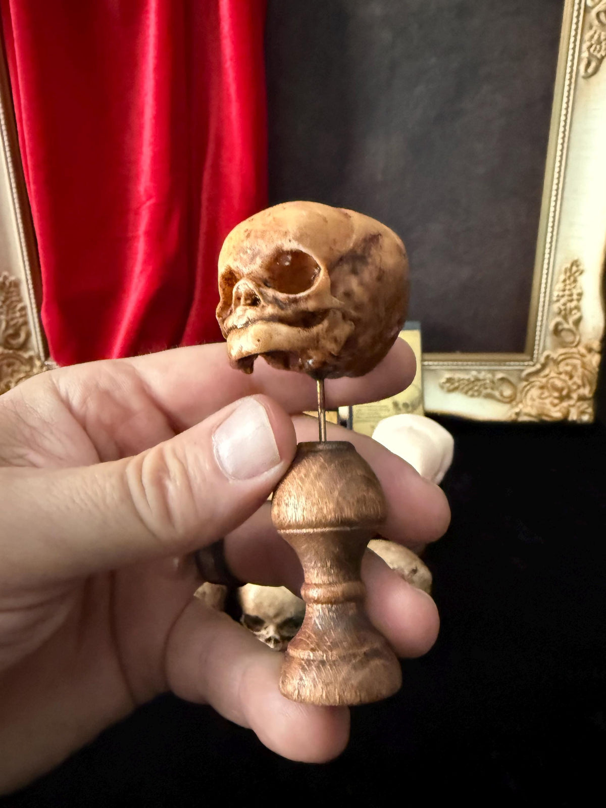 Fetal Skull mini for a curiosities cabinet Mini Mounted