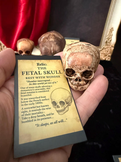 Fetal Skull mini for a curiosities cabinet