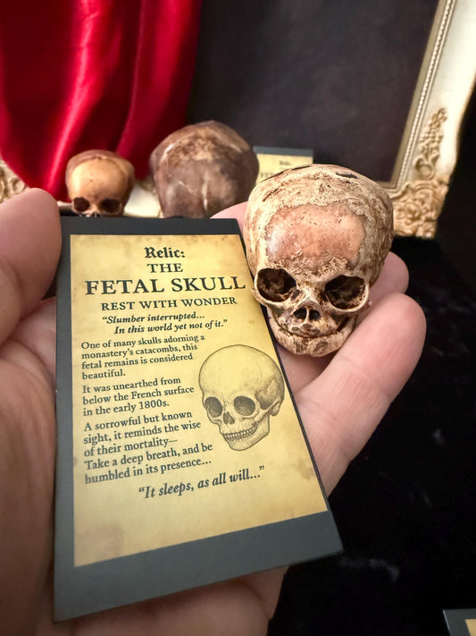 Fetal Skull mini for a curiosities cabinet