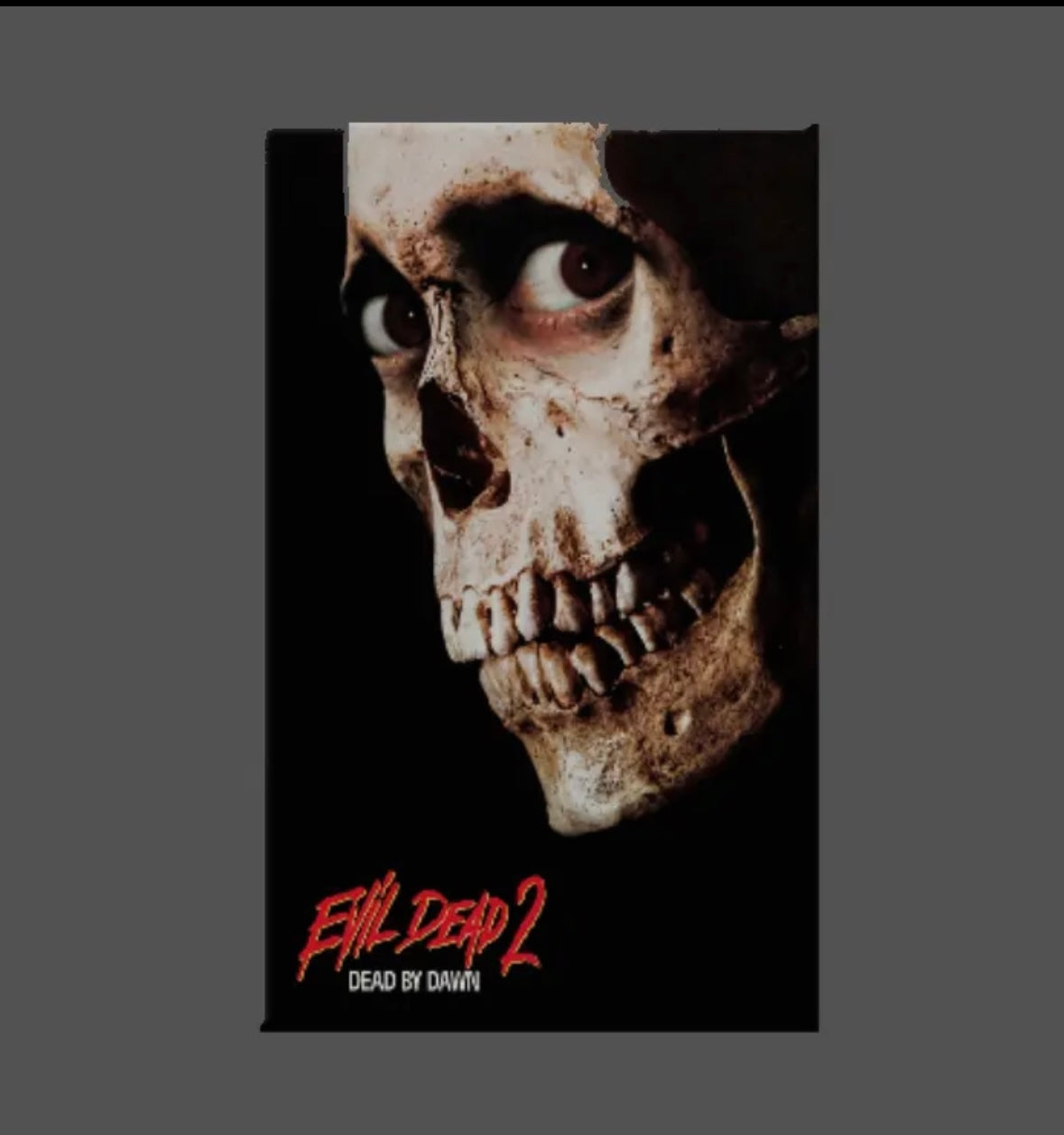 Movie Magnets Evil Dead 2