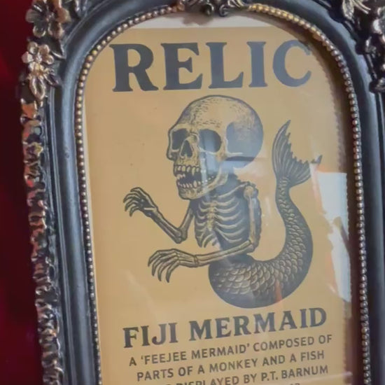 Fiji Mermaid for oddities and curiosities cabinet video
