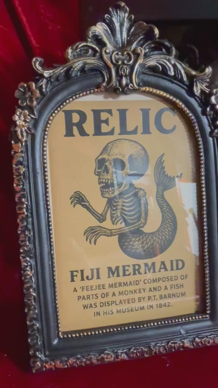Fiji Mermaid for oddities and curiosities cabinet video
