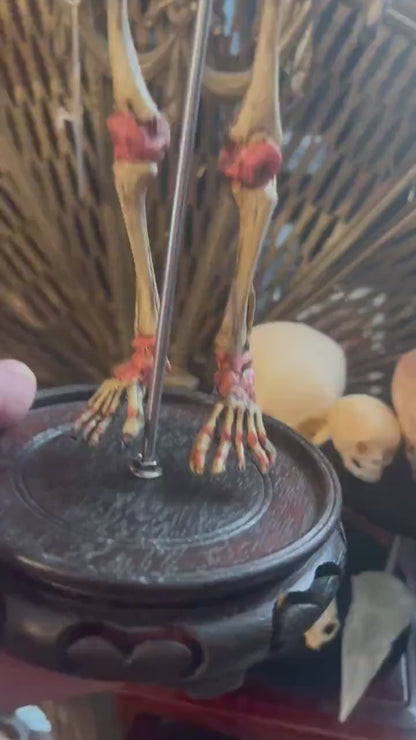 Two-Headed Conjoined Fetal Skeleton