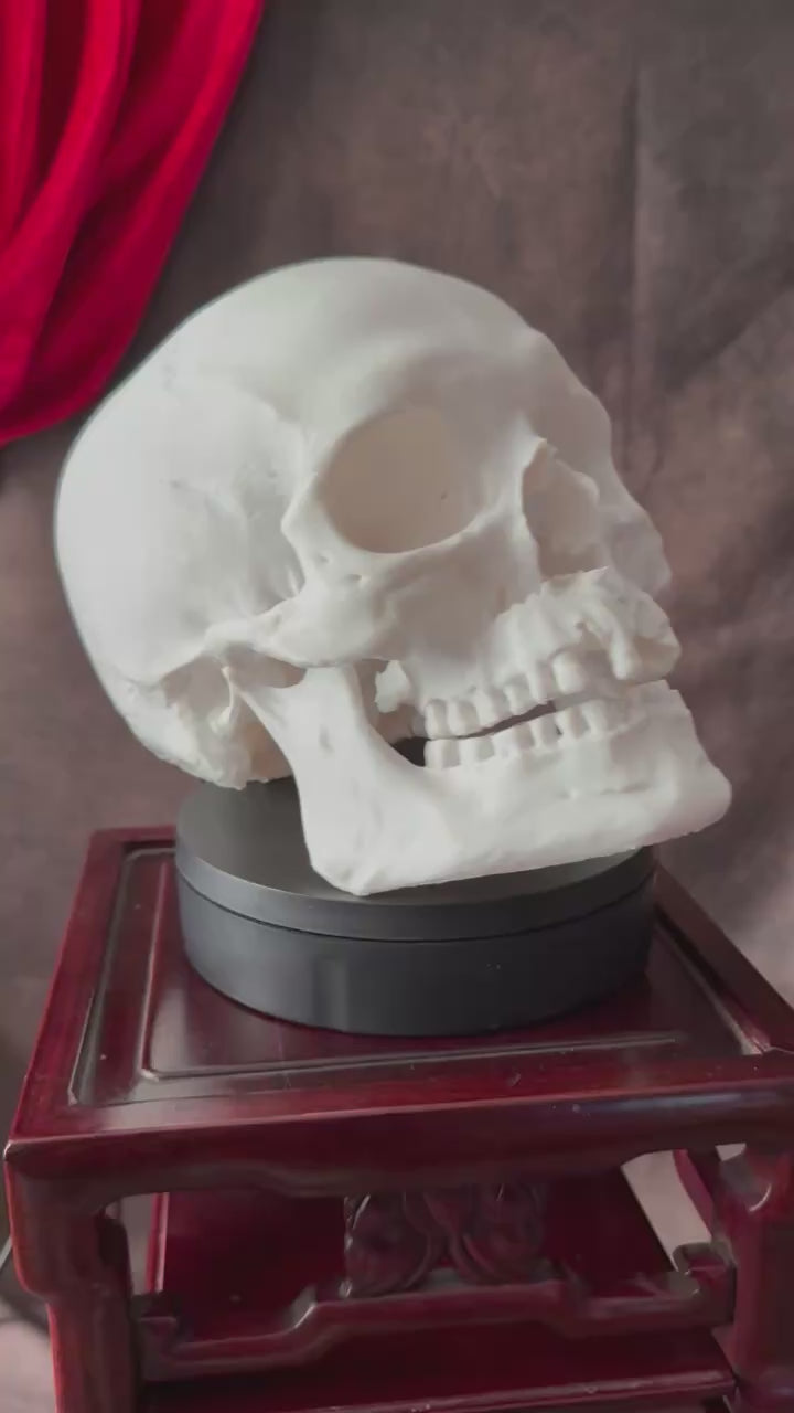 Battle Damaged Human Skull video