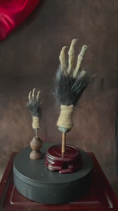 Cursed Monkey Paw for curiosity cabinet