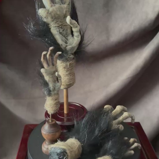 cursed monkey paw curiosity display video