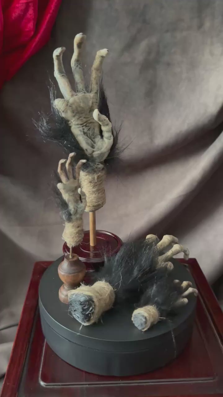 cursed monkey paw curiosity display video