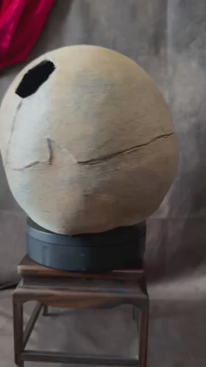 Syphillis Skull Replica | Pathological Medical Oddity Display (oversized)